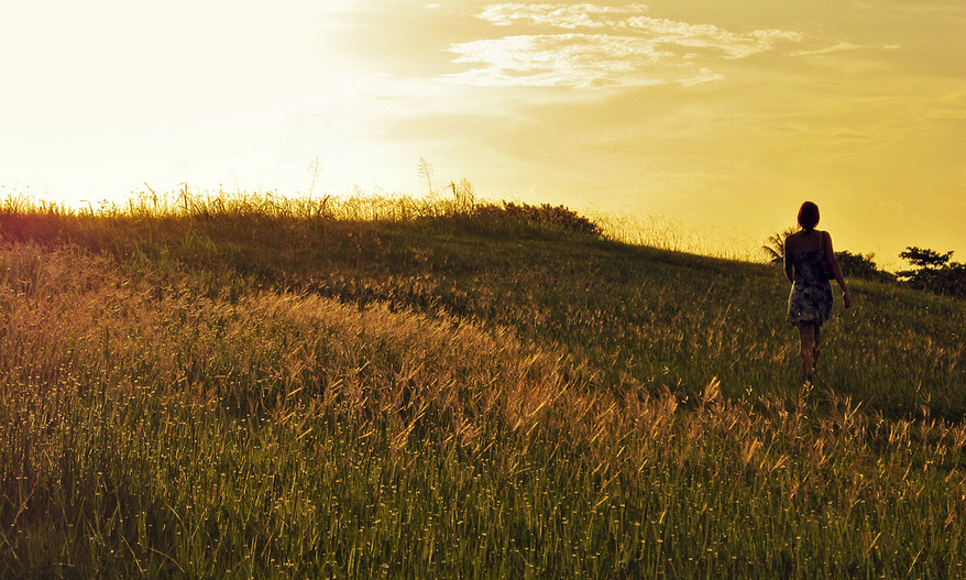 A woman walks through a golden field at sunset. 